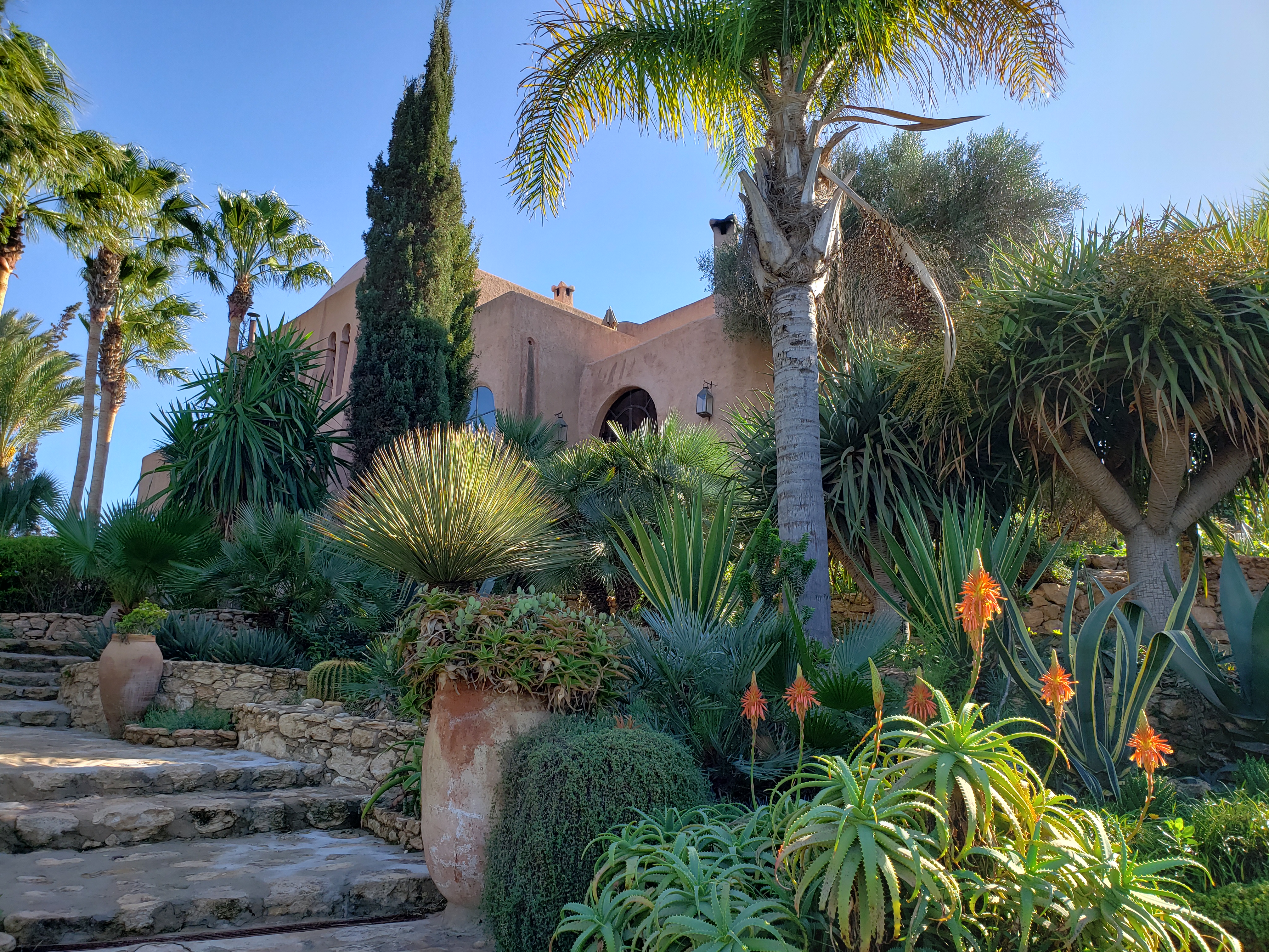 Le Jardin Des Douars Sejour Essaouira 24 Camille In Bordeaux